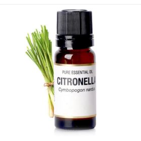 Citronella Essential Oil