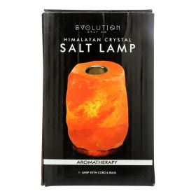 Evolution Salt Crystal Salt Lamp - Aromatherapy