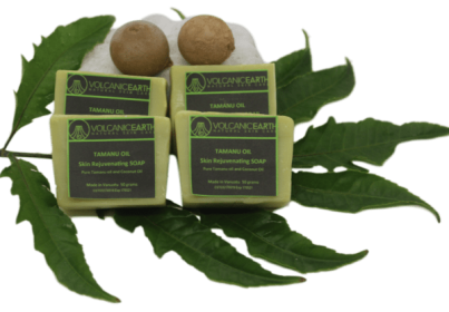 Tamanu Soap  (small) - Pack of 4 soaps