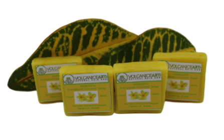Frangipani - Pack of 4 (small) Soaps