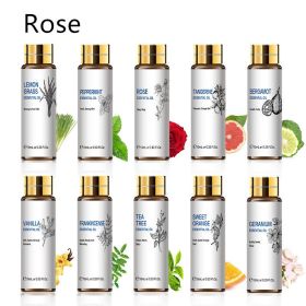 Plant Aromatherapy Essential Oil 10ml (Option: Rose-10ML)