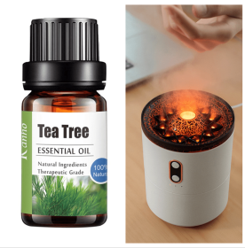 Pure Essential Oil (Option: Tea tree-Set)